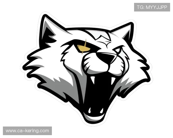 IG战队个人能力深度分析与CSGO竞技表现探讨