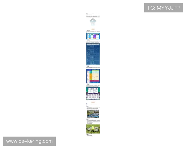 上海网球队网球耐力排名创新高引发广泛关注与讨论