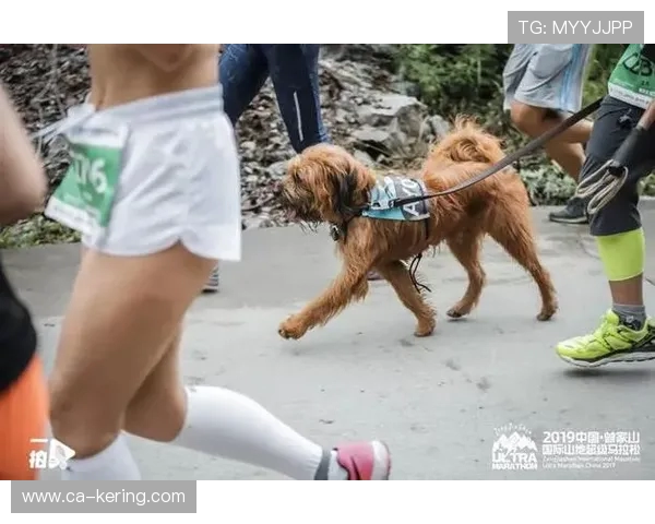 广州极限运动队在马拉松大满贯中的技术表现全面解析与点评