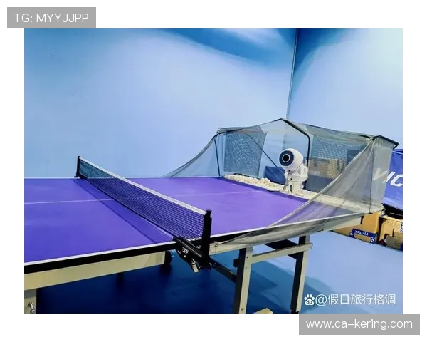 张秀英独家分享乒乓球技巧与心得体会助你提升球技的秘密秘籍