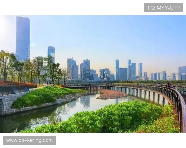 深圳乒乓球队转型升级之路探秘与未来发展展望