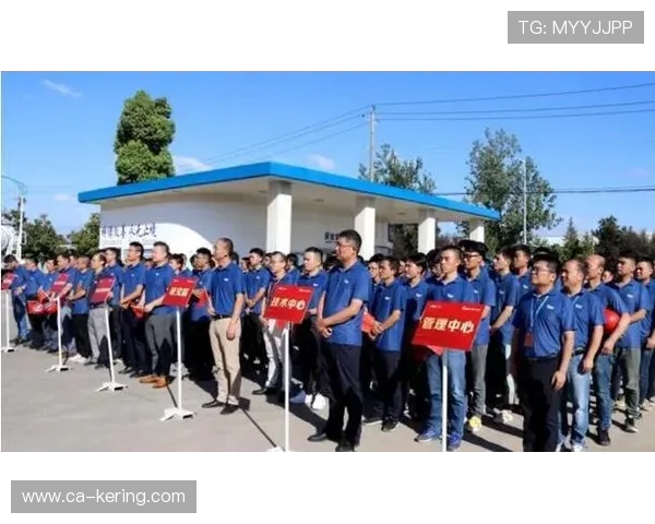 深度对话:杨丽在网球场上的奋斗与成长之路 深度对话:杨丽在网球场上的奋斗与成长之路