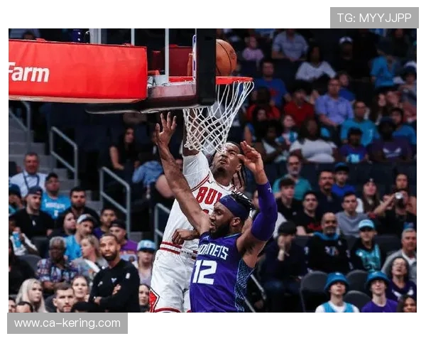 公牛与黄蜂激战全场精彩回放11月24日比赛精彩瞬间回顾